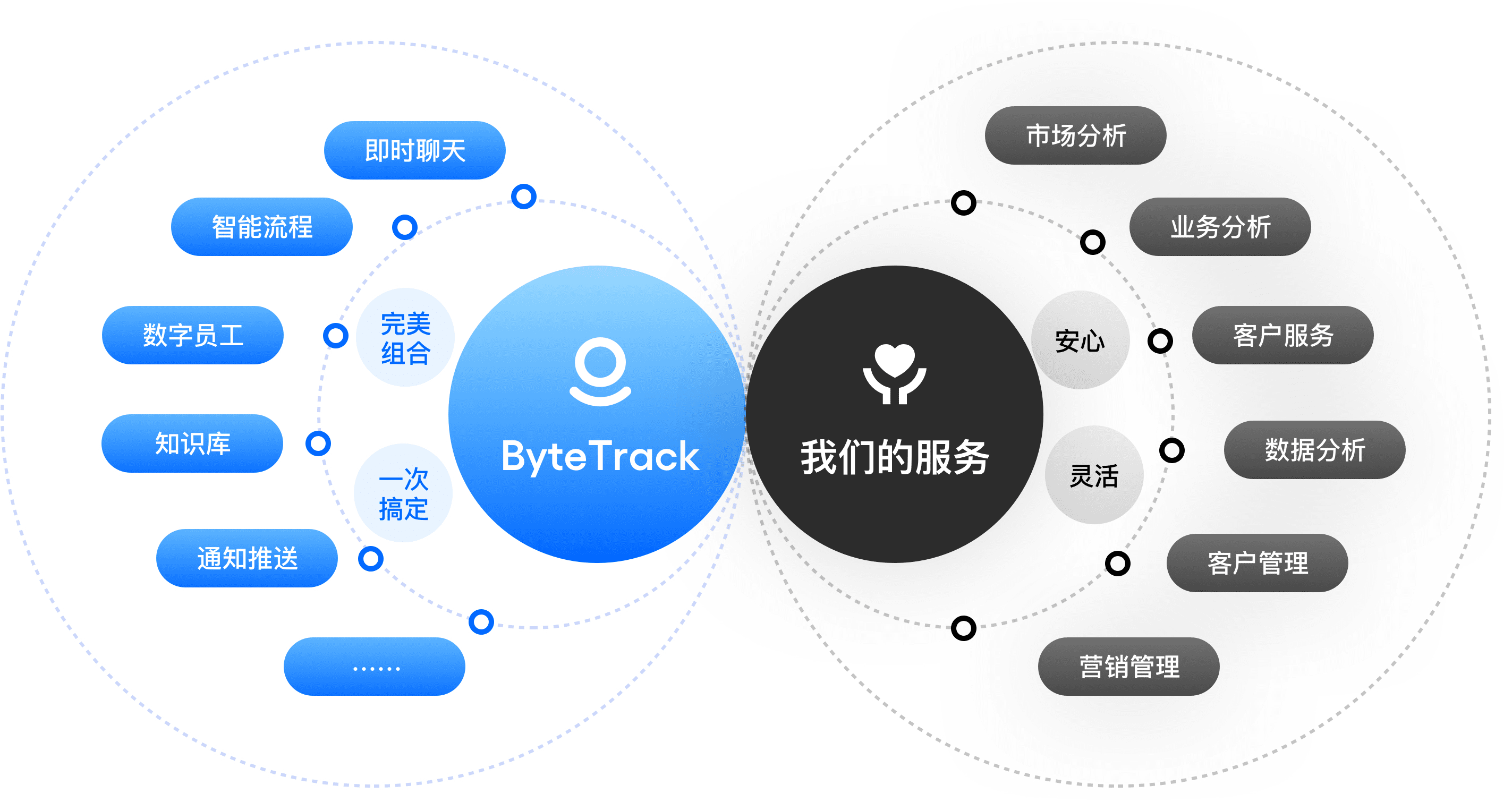 ByteTrack的产品展示与服务介绍